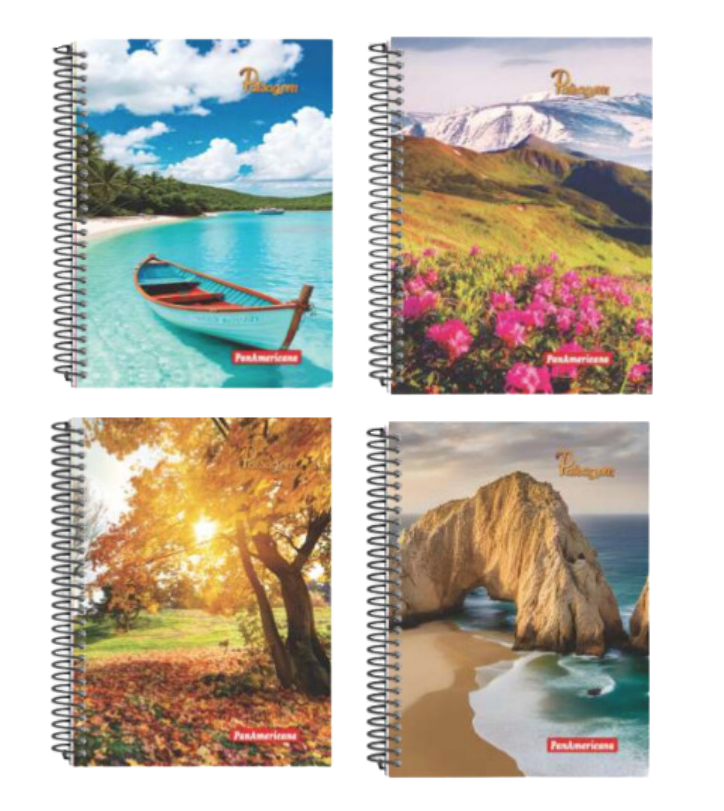 CADERNO 1/4 CAPA DURA 96FLS  >